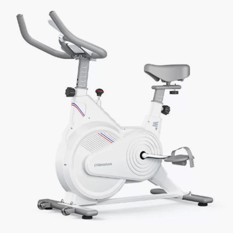 Home Gym Hyrox - Indoor Stationary Spin Bike, Silent Magnetic